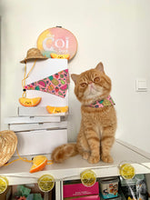 Load image into Gallery viewer, Tutti Kitty Frutti (x Momo&#39;s Pet Boutique)
