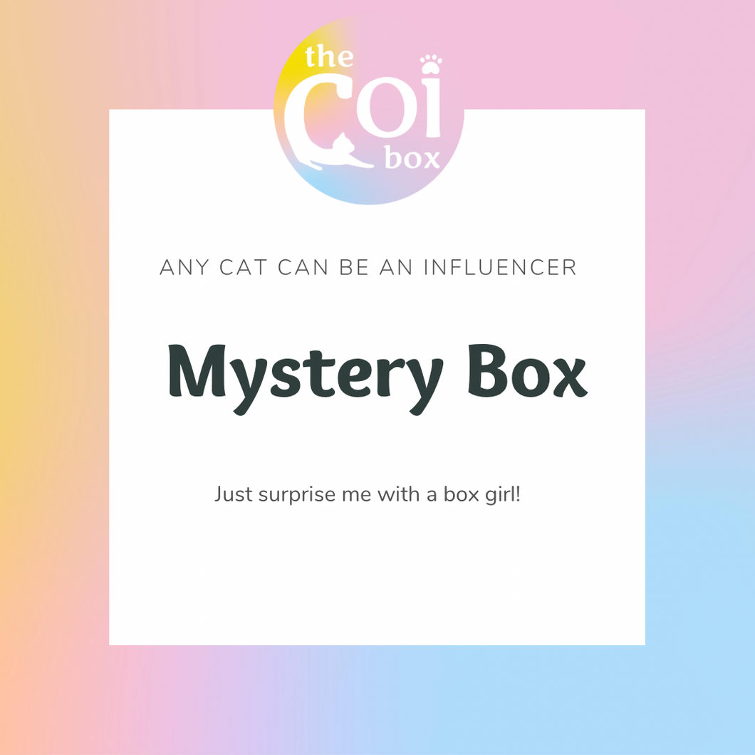 Mystery Box