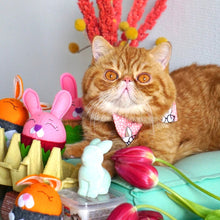 Load image into Gallery viewer, Easter Cat
